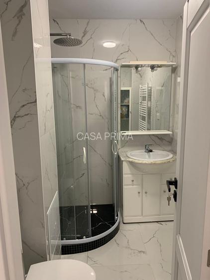 Apartament 1 camera Nicolina-Prima Statie, etaj 3, ideal investitie - 4