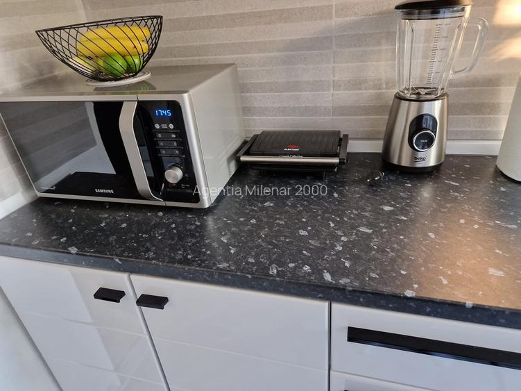 Apartament cochet zona Take Ionescu-cu centrala gaz, mobilat și utilat - 24