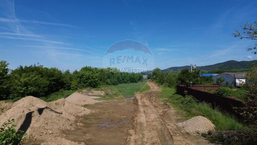 Teren Ideal Pentru Hala De Vanzare - 7