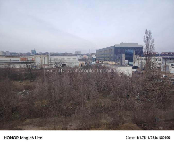 Teren 12 000 mp Tudor Vladimirescu - 4