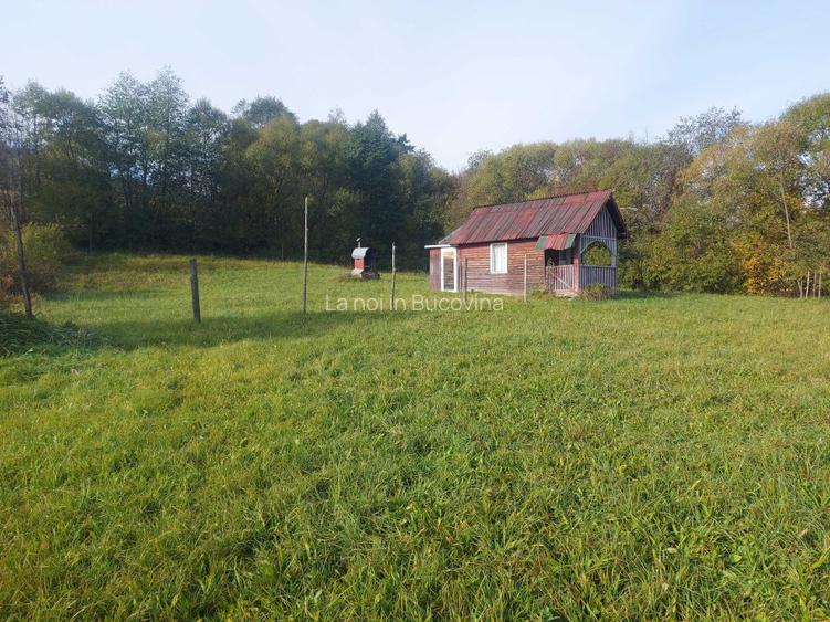 Spre vanzare teren 3662 mp in Campulung Moldovenesc - 8