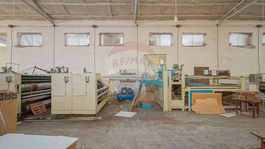 Comision 0 | Dezvoltare sau business: hale + teren 5.924 mp - 15