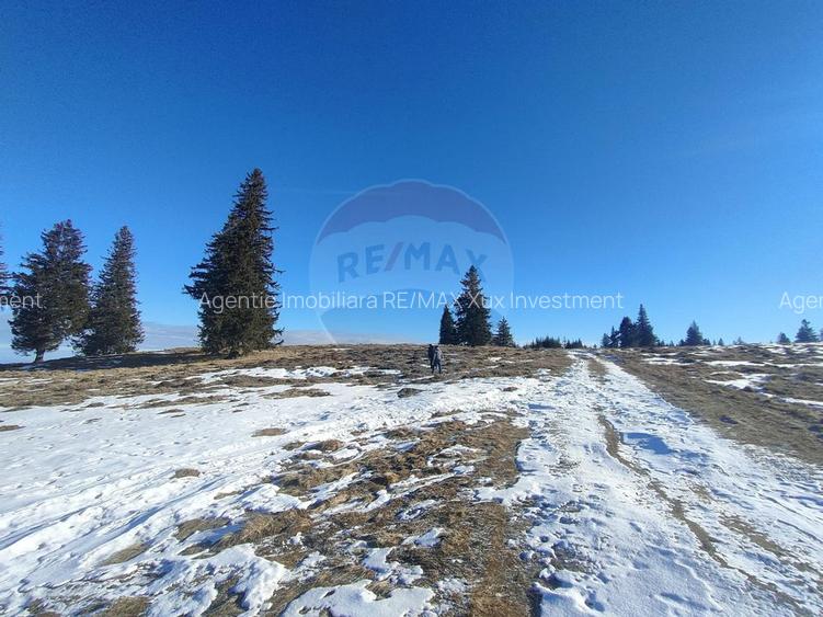 Teren  extravilan - 6