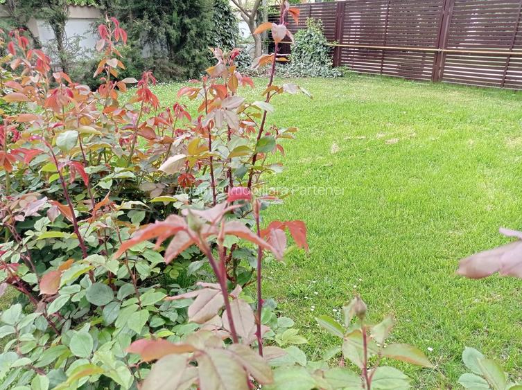 casa / vila Gavana 3  , mobilata / utilata , finisaje clasice ! - 29