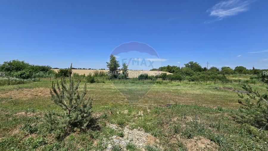 DE VANZARE | Hale | 1407mp | Teren 9344 | Potigrafu - 11