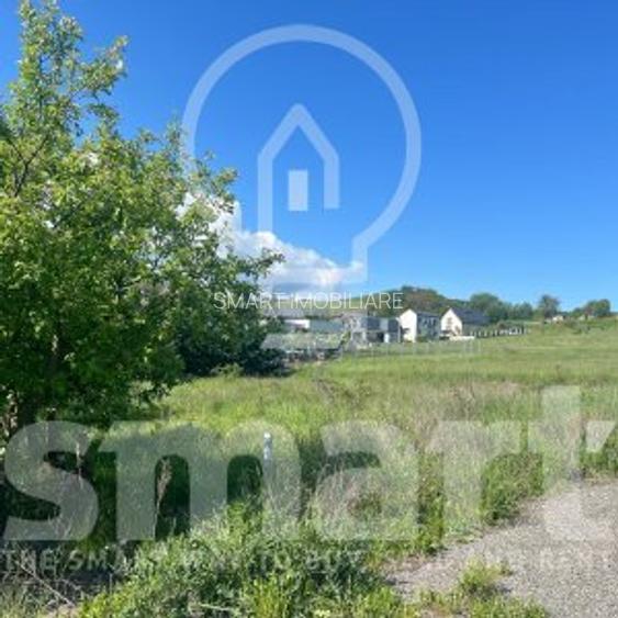 Teren cu autorizatie casa individuala Borhanci - Soporului - 2