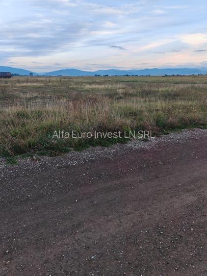 Teren Intravilan de vanzare - 3