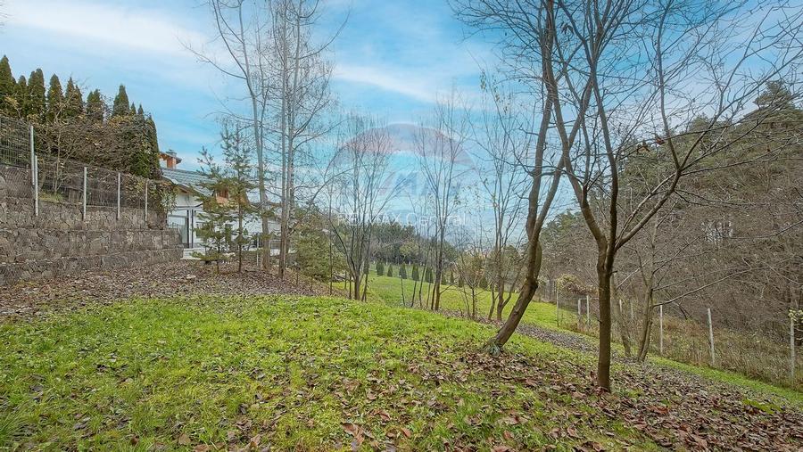 Vila moderna cu vedere spre padure Poiana Angelescu - 47