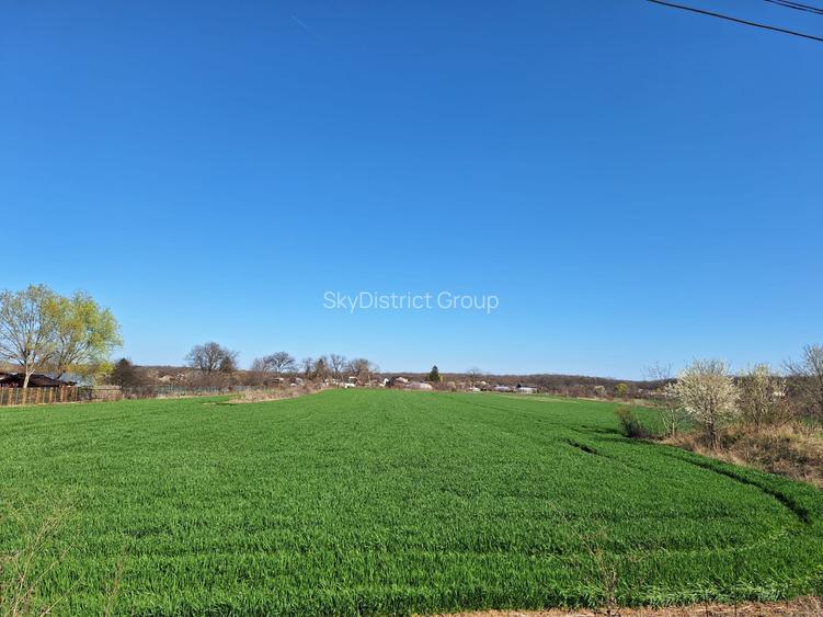 Ocazie!! deschidere 41m la DN1, pretabil vile/magazin/casa particulara - 5