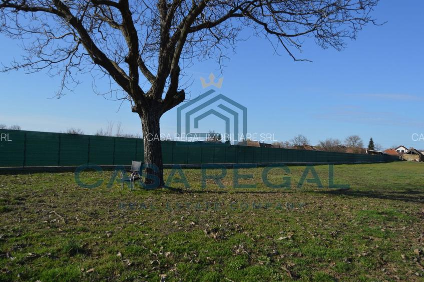 Teren 3500 mp împrejmuit, central, Biharia, lângă Profi, utilități - 8