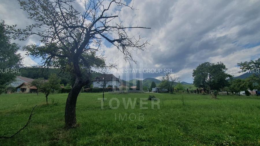 Teren de vanzare in Sibiel . - 2