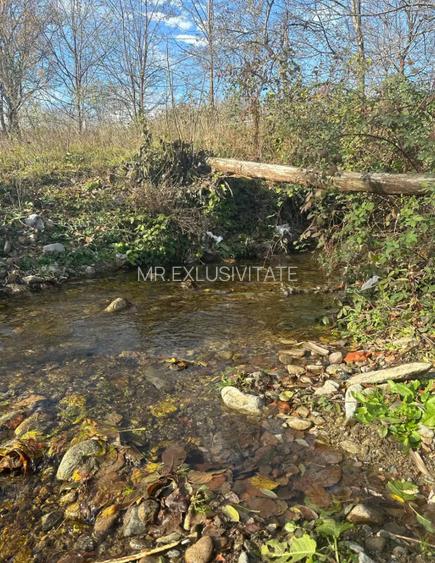 Teren mixt de vânzare Crasna Gorj, aproape de Rânca– 19.209 mp - 9