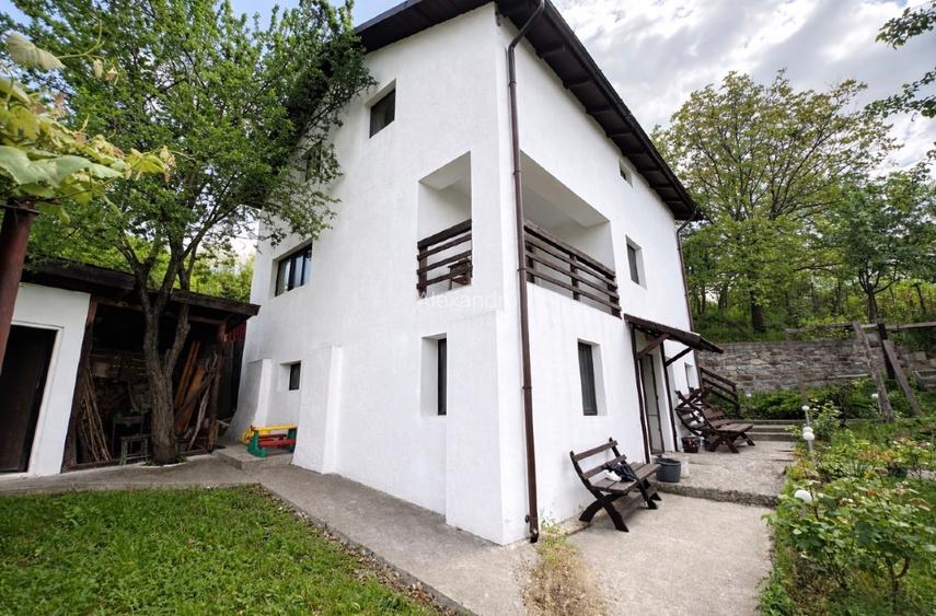 Casa vânzare comuna Bozioru munții Buzăului  - 2