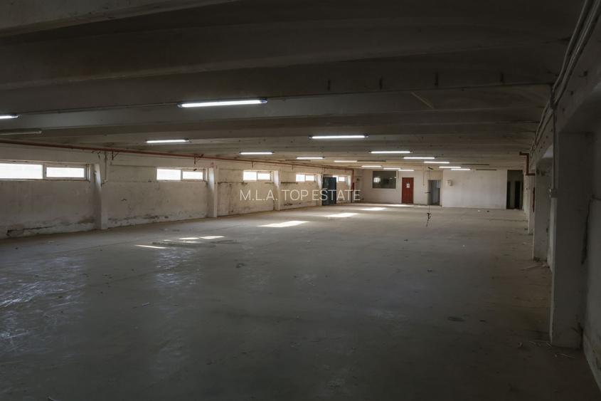 Hala Industriala Gradiste De Inchiriat - 3