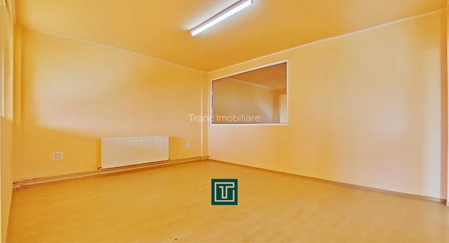 Clădire cu 10 camere în Aradul Nou – ideală pentru investiție/afaceri - 8