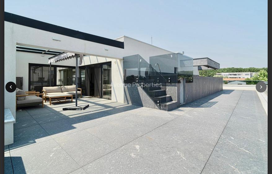 Penthouse Iancu Nicolae cu piscima - 10