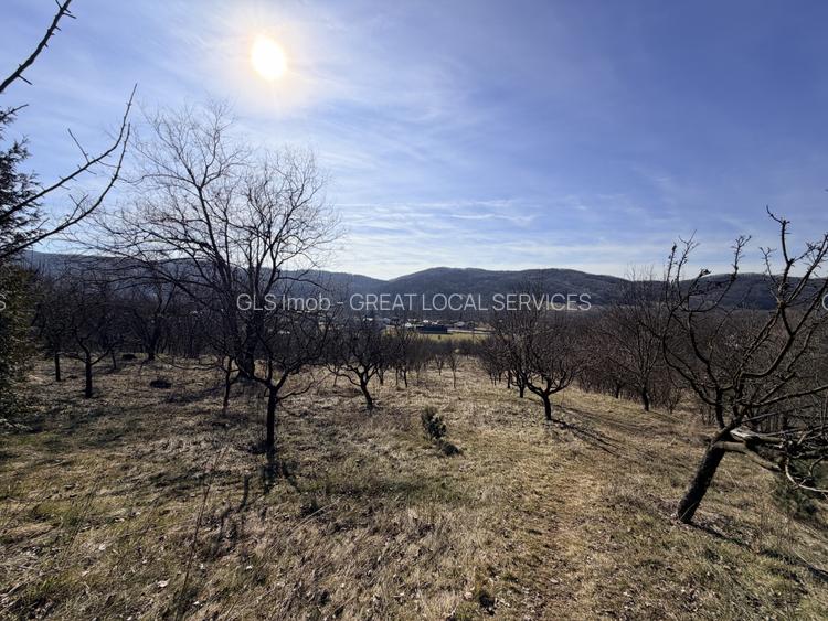 Refugiu Exclusivist Prahova Casa cu 5.2 ha, Panorama Parau si Potential Turistic - 39