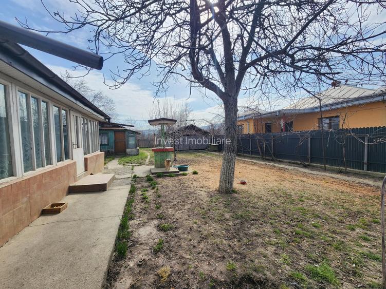 CASA VOINESTI, 1600 MP TEREN - 6