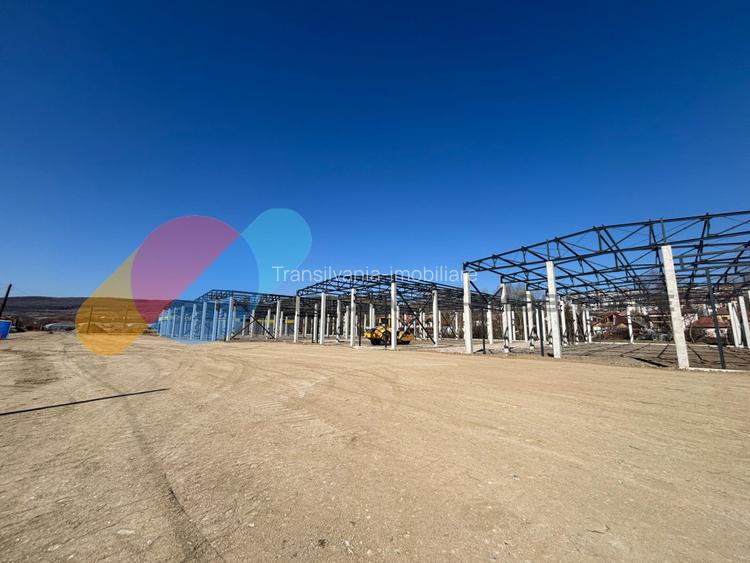 Hale de inchiriat – 600 mp, open space, acces TIR, zona intrare Baciu - 5