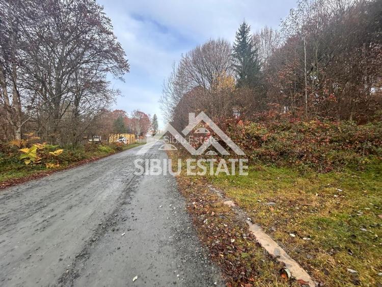 Oportunitate de investiție – Teren pentru hotel / pensiune pe Valea Avrigului - 10