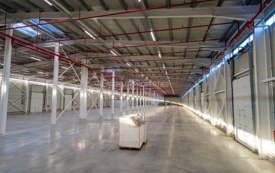 Hala de inchiriat str. Oxigenului - 2