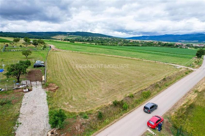 3.800mp recomandat:investitie,rezidenta vacanta,domeniu privat,Valea Crisului - 4