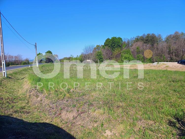 Teren Intravilan | 3444 mp | Tăuții Măgherăuș - 3