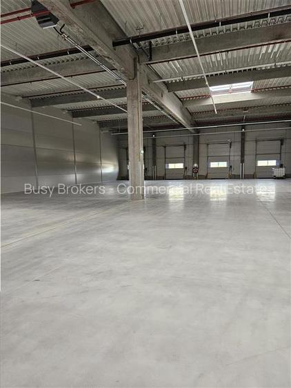 Spatiu Industrial - 4600 mp - Productie - Depozitare - Distributie - 8