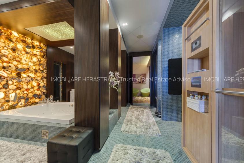 Asteria Suite | Penthouse exclusivist Herastrau | Vedere parc - 24