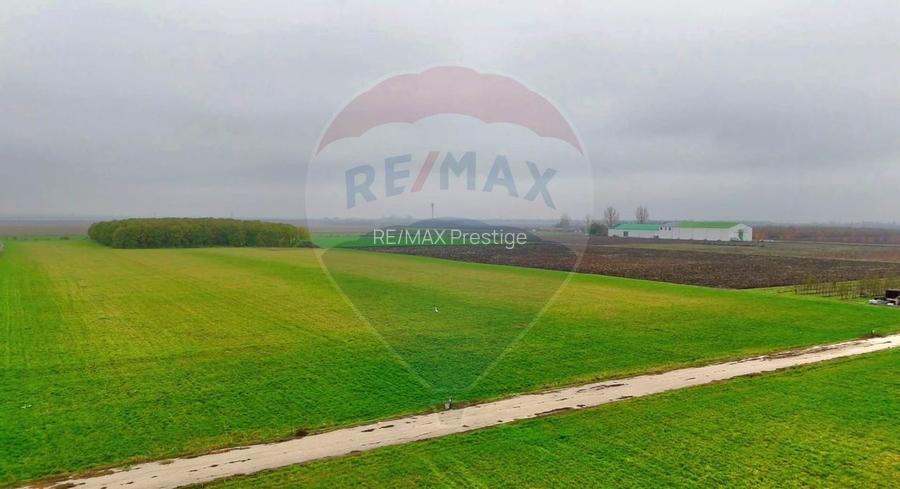 Ferma agro-industrială – 43 ha Adunații Copaceni - 9