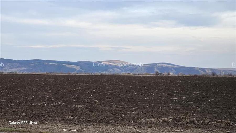 Investiție la DN13! Curent, Gaz, Apă, Canalizare pe Teren! - 3
