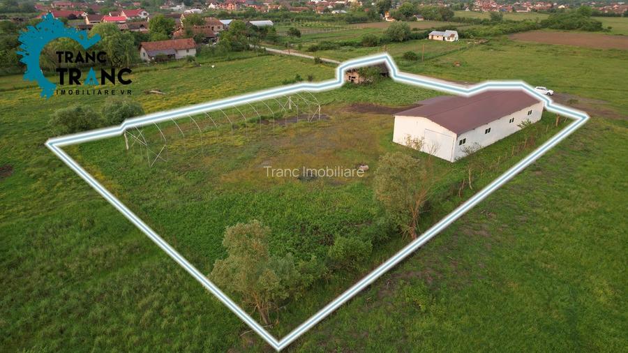 COMISION 0% Hala noua de 317 m2, intr-o zona feerica, in Ususau - 3