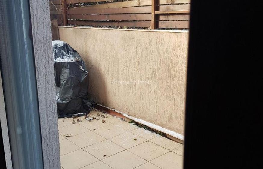 Apartament zona Garlei-Dobrogeanu Gherea cu terasa mare si curte proprie - 6