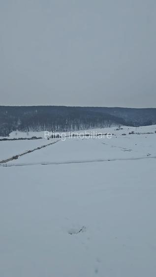 Hala de 600mp, teren de 1200mp, Gilau - 4