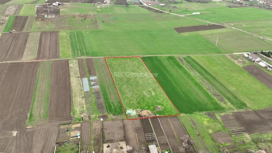 RECO Teren intravilan Girisu de Cris - 4