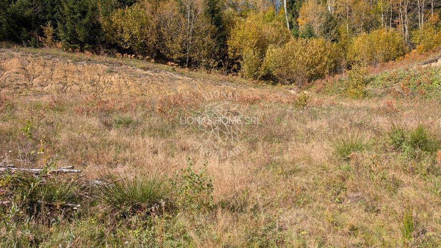 Parcele 800-1000 mp intravilan-350m distanta fata de Lac Colibita - 2