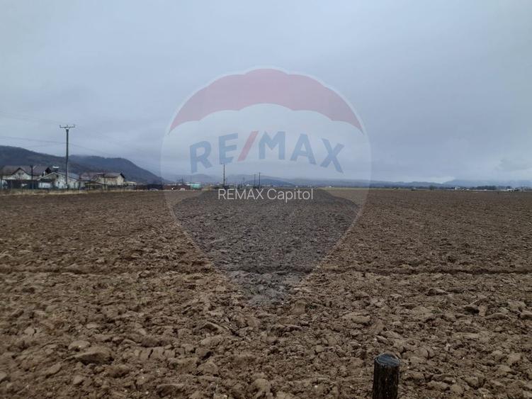 Teren intre case, 7.150mp Rasnov / Strada Glajeriei - 2