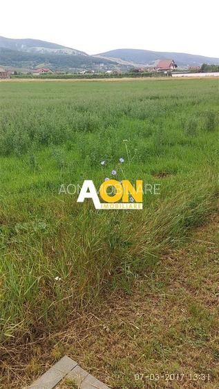 Teren pentru P+2 Alba-Micesti 3636 mp - 3