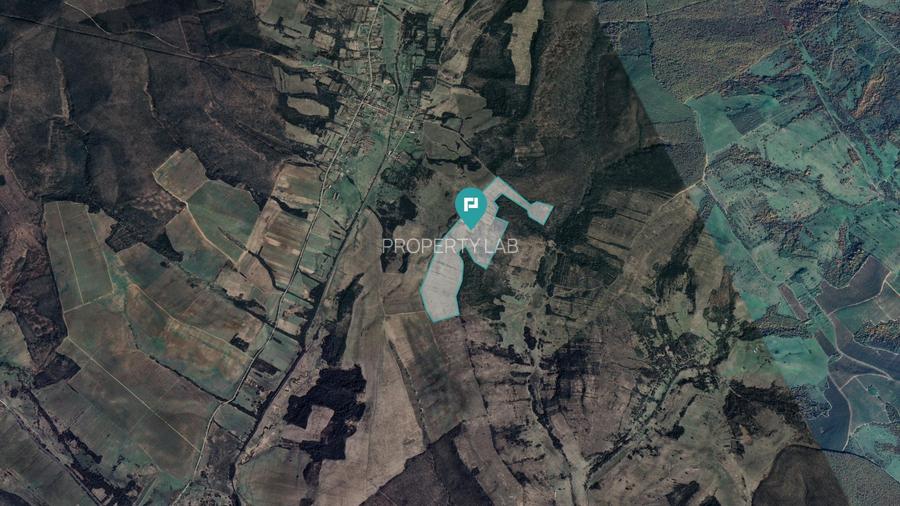 Teren arabil de 40 hectare în Secaș, Timiș - 2