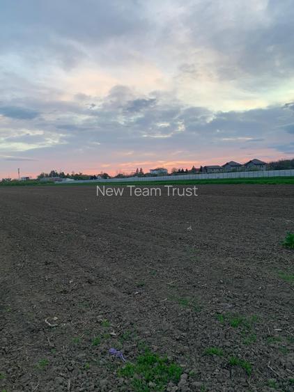 DJ200 Afumati Petrechioaia  Vanzare Teren intravilan -extravilan - 11