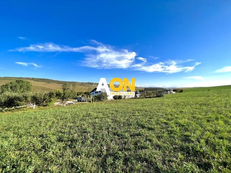 Ferma de vanzare cu 550MP utili si 27.500MP teren la asfalt - 21