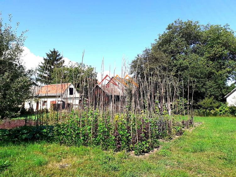 Casa 3 camere, teren 3625 mp, toate utilitatile, Sacele, Brasov - 6