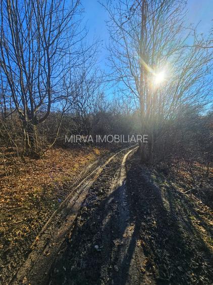 Teren intravilan 2.000 mp – Seciu, 2 deschideri, Priveliște panoramica - 15