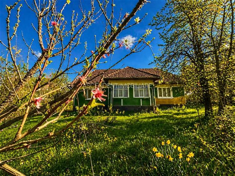 Domeniu de 3.400 mp cu traditionala casa, Suveica, Acatari Mures - 2