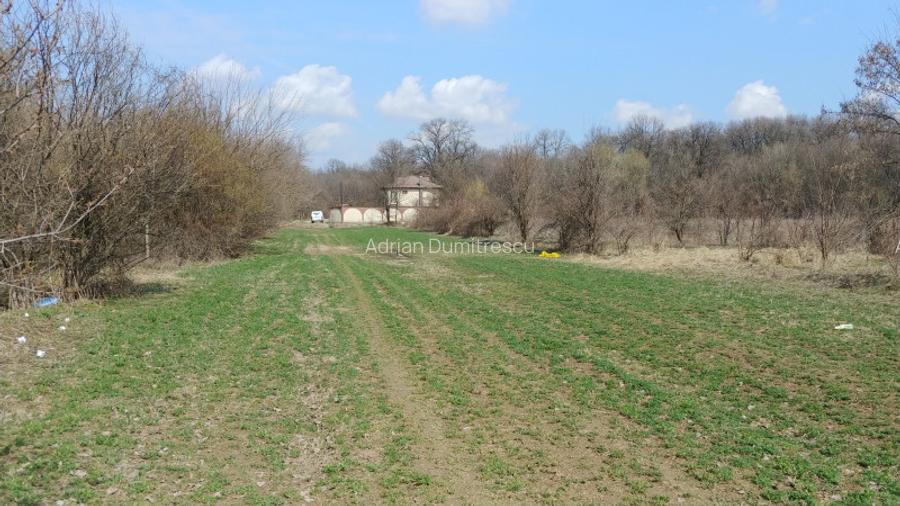 Teren intravilan Măgurele langa padurea Cornetu si Arges - 8