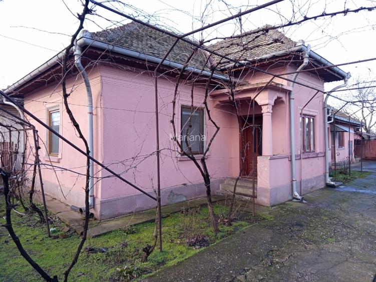 Casa la tara cu teren si gradina,beci si alte dependinte - 6