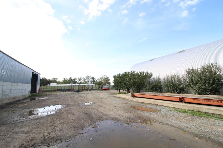 Baza de cereale in functiune , 4500 mp intravilan + 2 depozite (aprox 1000mp) - 6