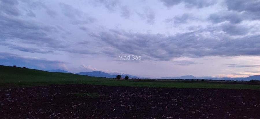 Direct proprietar: Intravilan cu PUZ + proiect, pretabil investitie/dezvoltare - 3