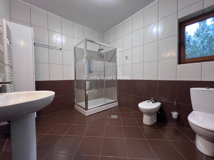 Inchiriere Vila individuala Iancu Nicolae - 27