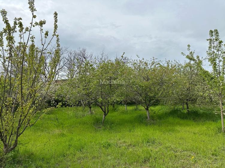 Vând teren intravilan stradal , posibilitate  parcelare  - 14